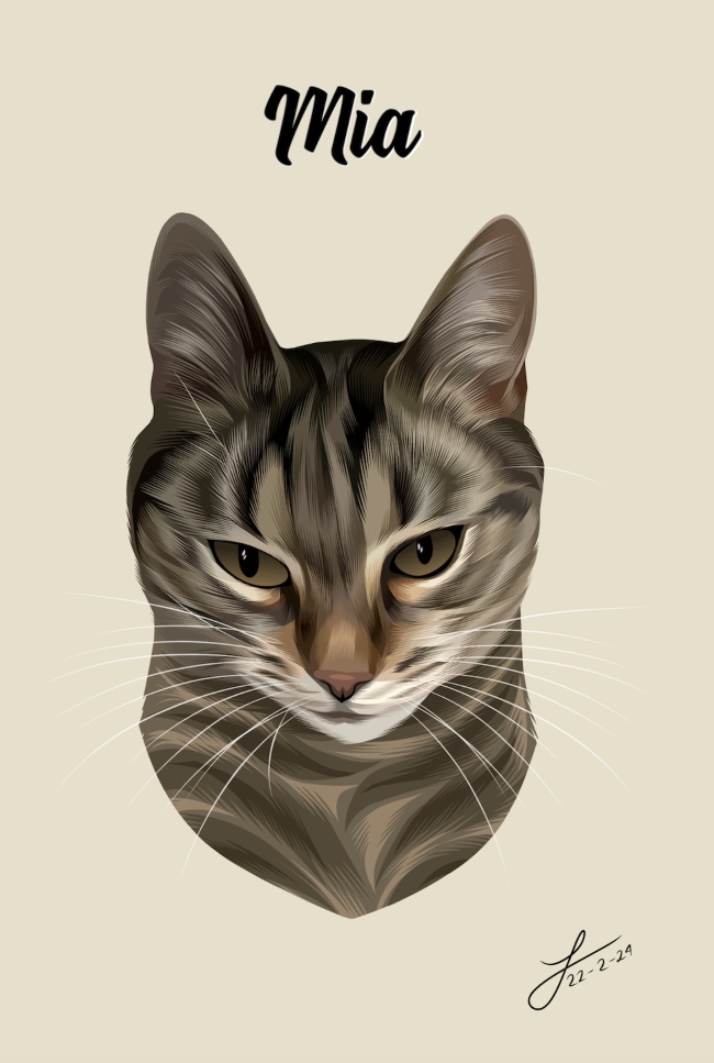 Portrét kočky Domácí mazlíček